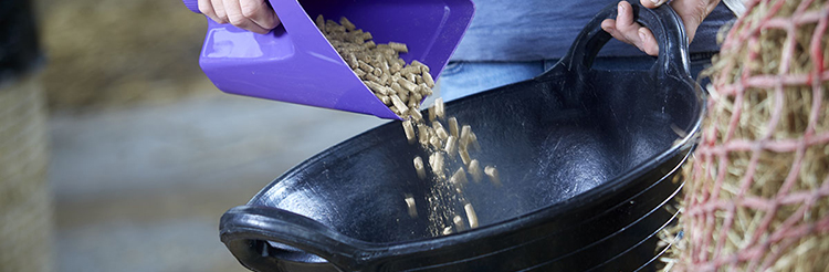 Horse Feed Supplements for the control of flies. 